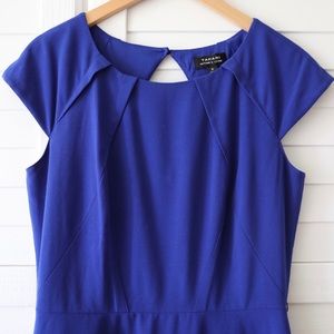 Tahari Blue Dress